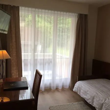 沙伊酒店 3* 蒙特勒
